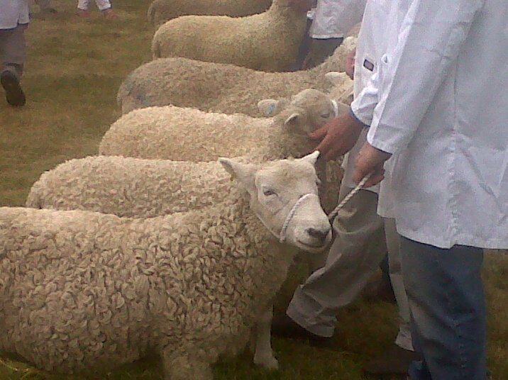 Chagford show 014