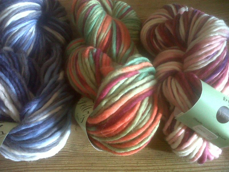 Rosehip and yarn 001