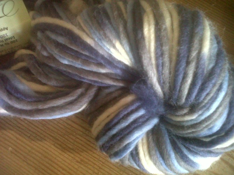 Rosehip and yarn 002