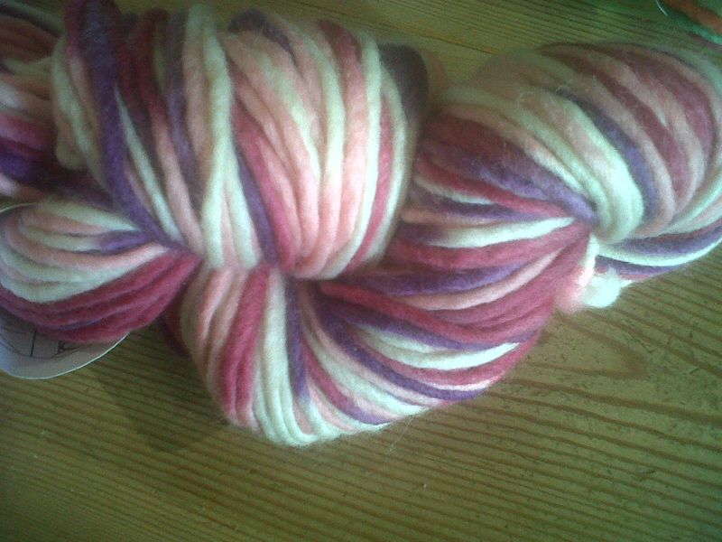 Rosehip and yarn 004