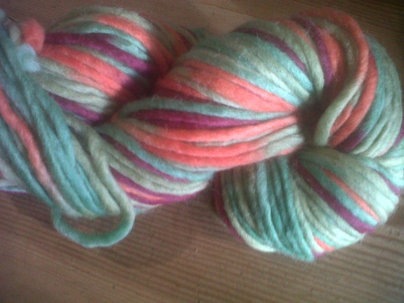 Rosehip and yarn 003