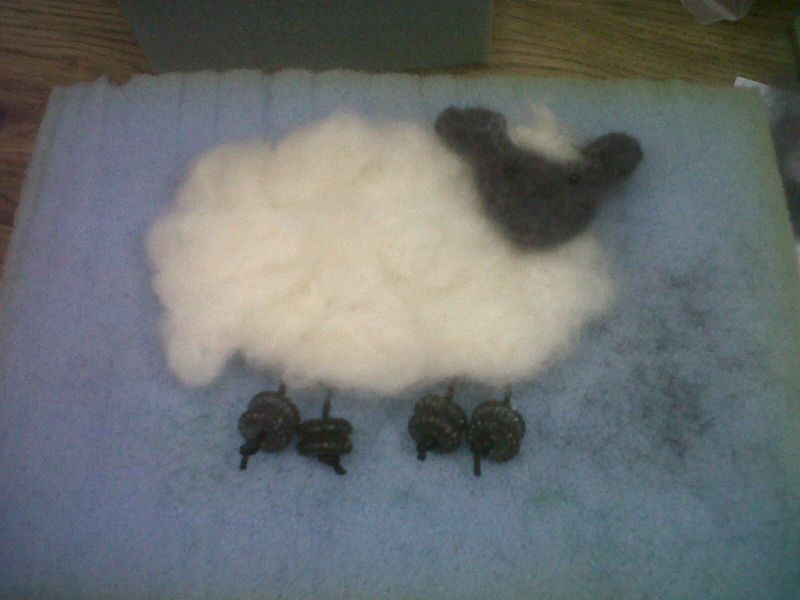 Sheep 012