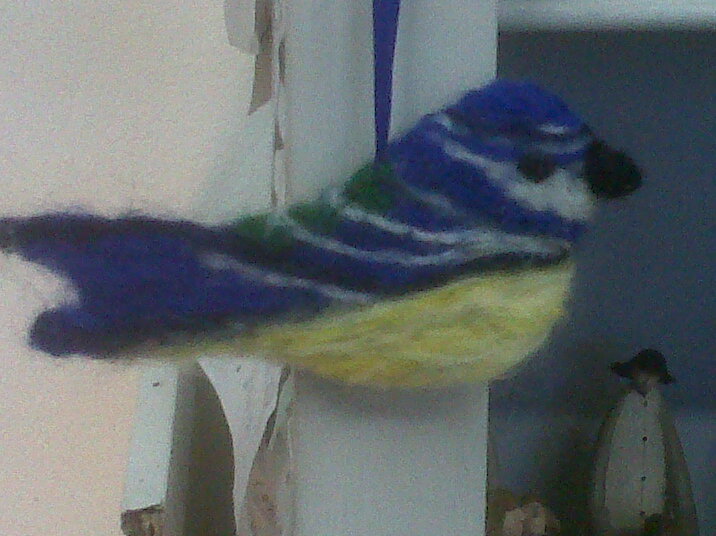 Blue tit